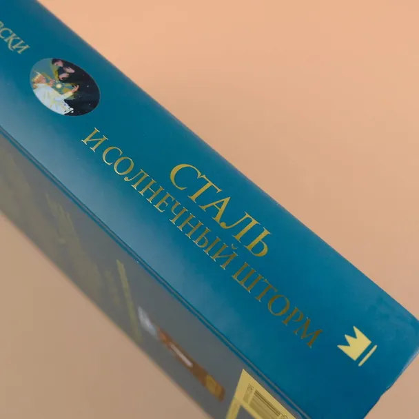 Книга Сталь и солнечный шторм (Редгрейн Лебовски) — 6