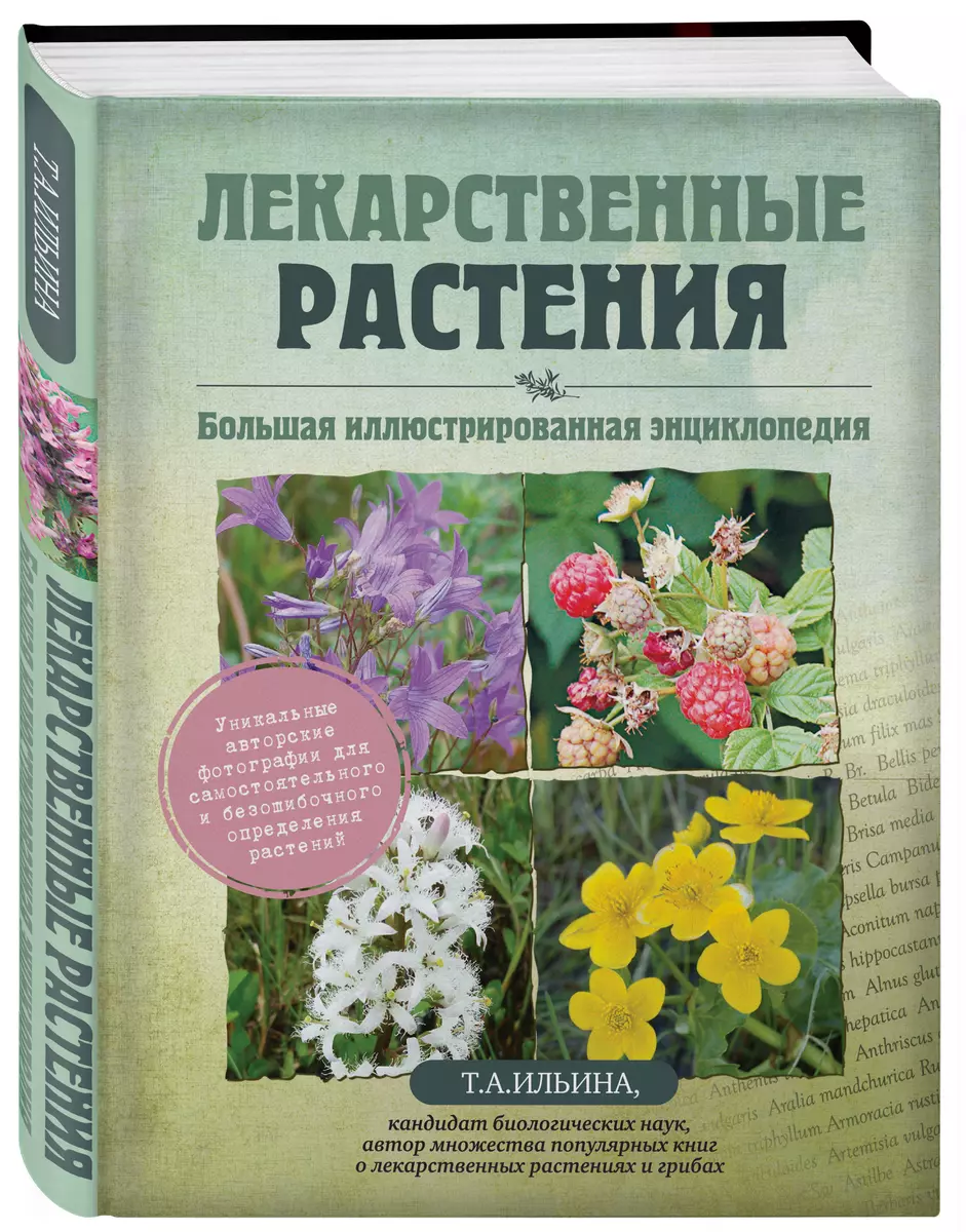 Лекарственные растения. Большая иллюстрированная энциклопедия (Татьяна  Ильина) - купить книгу с доставкой в интернет-магазине «Читай-город». ISBN:  978-5-699-64039-3