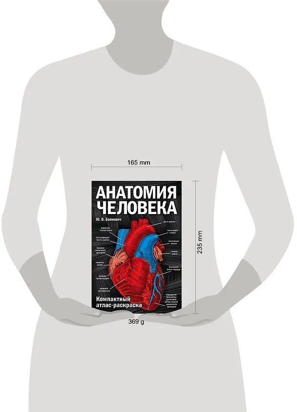 Книга Анатомия человека: компактный атлас-раскраска (Юрий Боянович) — 8