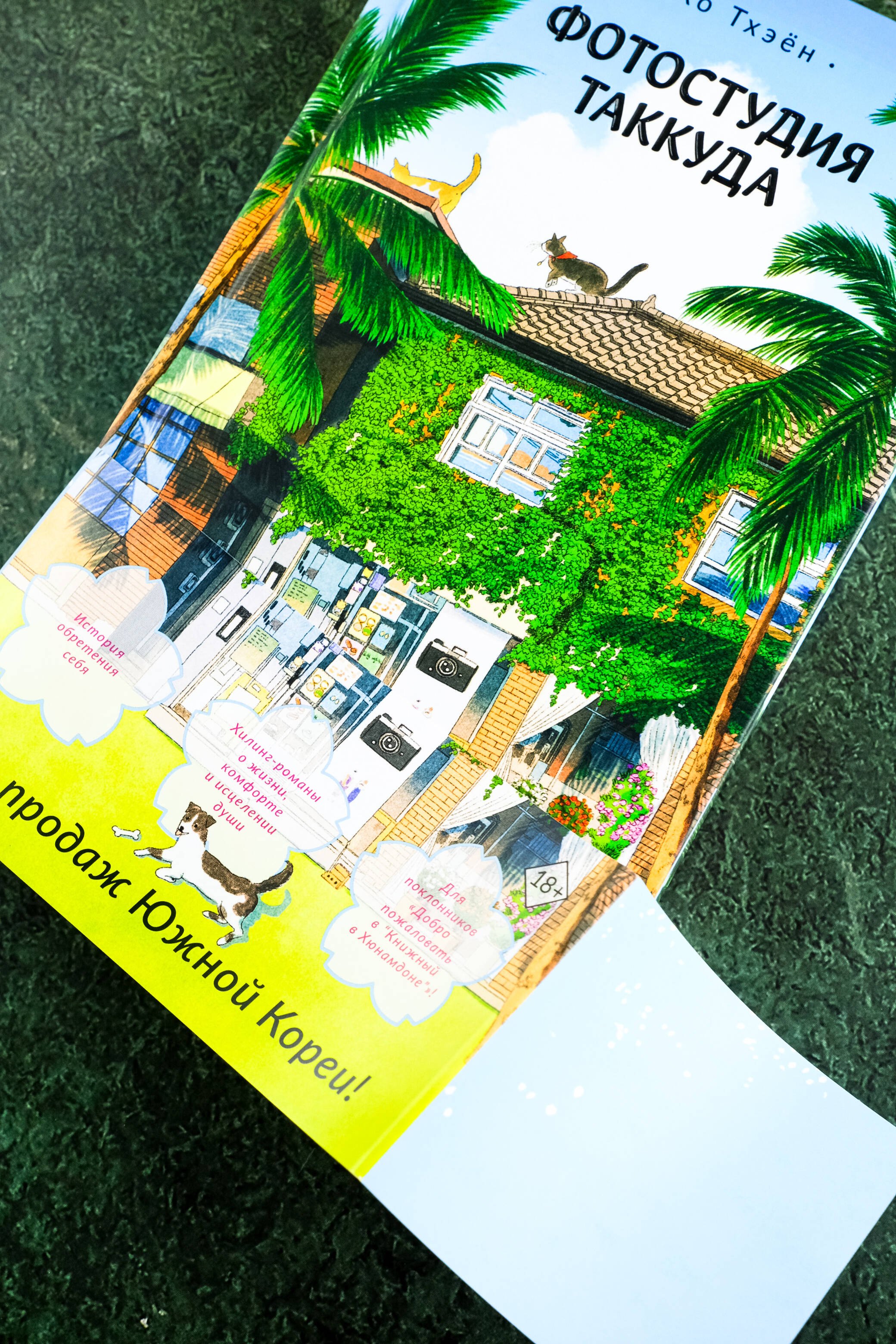 Изображение бумажной книги