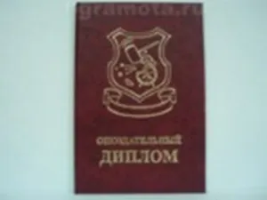 Опоздательный диплом (AE0000765) (Мастер)