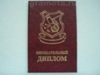 Опоздательный диплом (AE0000765) (Мастер) 2304937 — 1