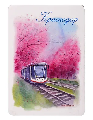 Магнит Трамвай Цветущие сливы (Краснодар) (картон) (МК/111/024) 3167934
