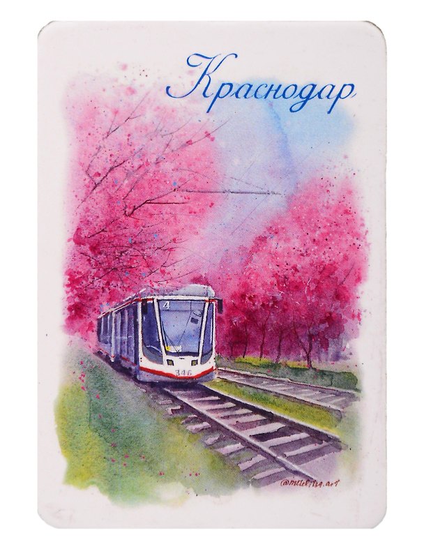 Магнит Трамвай Цветущие сливы (Краснодар) (картон) (МК/111/024) 3167934 — 1
