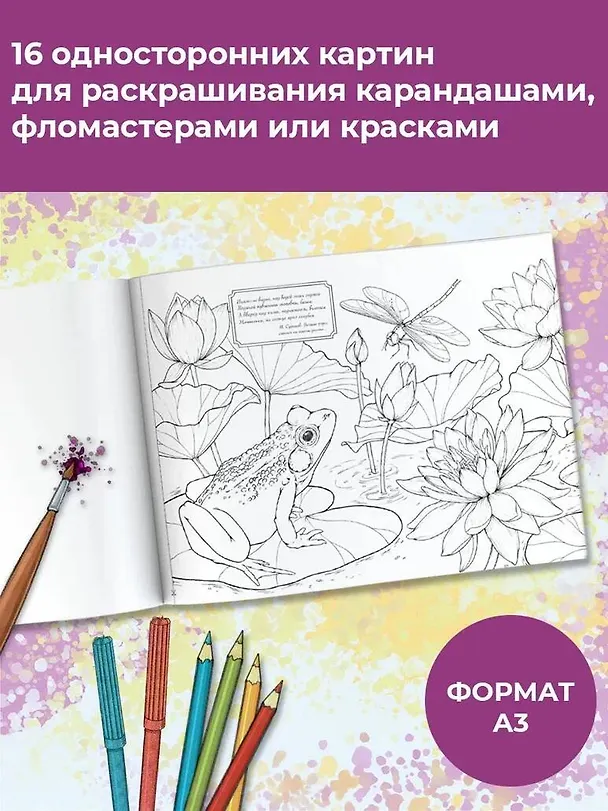 Книга Моя любимая природа () — 4