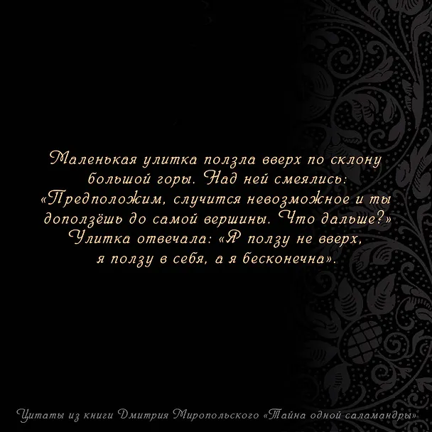 Книга Тайна одной саламандры (Дмитрий Миропольский) — 9