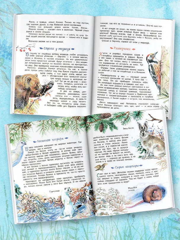 Книга Лесная газета (Виталий Бианки) — 5
