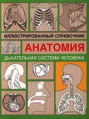 Анатомия.Дыxательная система человека: Иллюстрированный справочник — 2194382 — 1