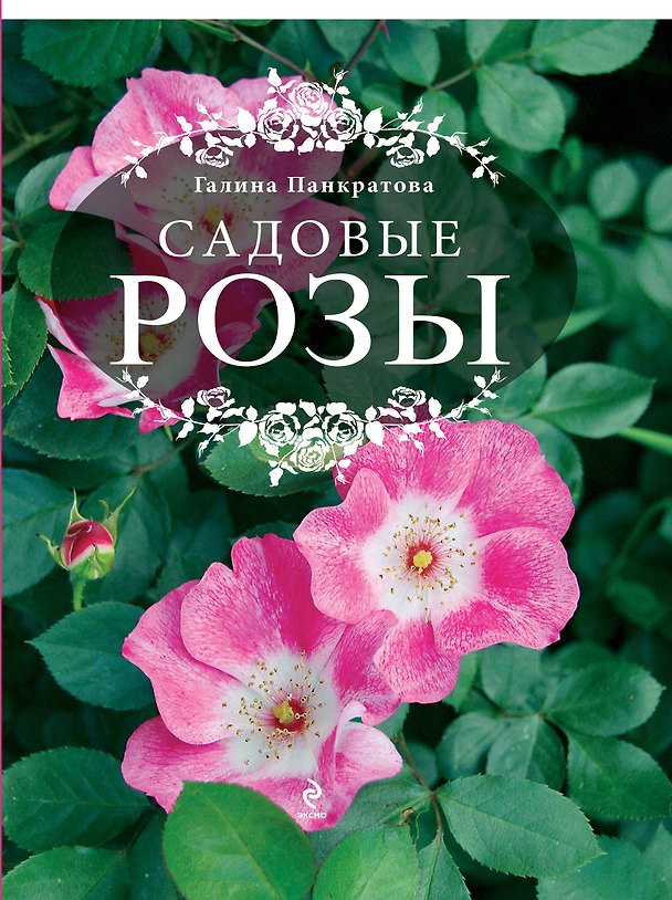Книга Садовые розы. Большая энциклопедия (Галина Панкратова) — 1