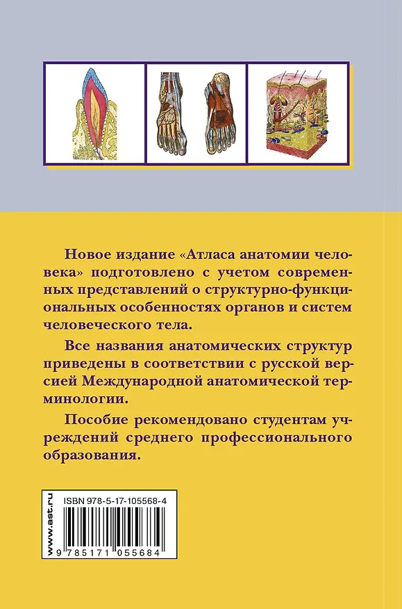 Книга Атлас анатомии человека: Учеб. пособие для студентов учреждений сред. профессион. образования (Рудольф Самусев) — 2