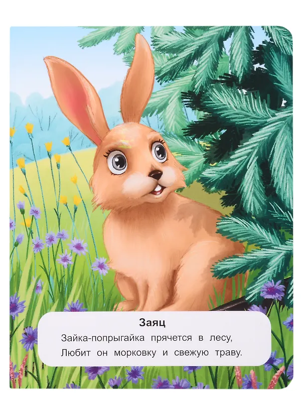 Книга Лесные животные: стихи (Кристина Хомякова) — 5