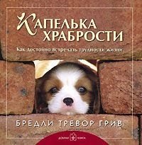 

Капелька храбрости: Как достойно встречать трудности жизни