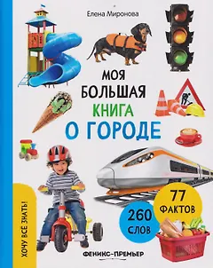 Моя большая книга о городе