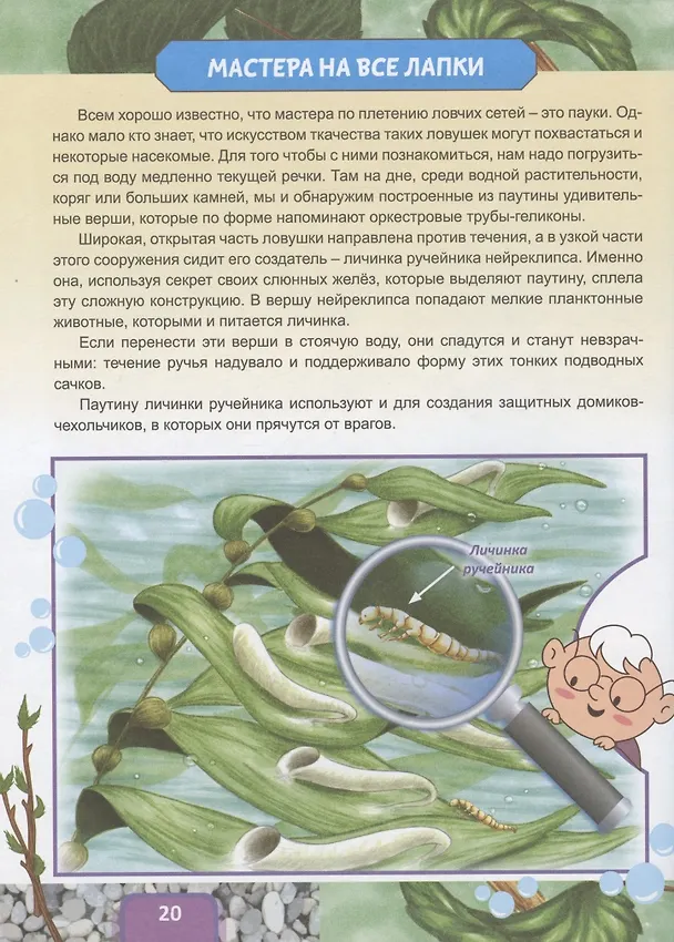 Книга Животные строят (Владимир Бабенко) — 5