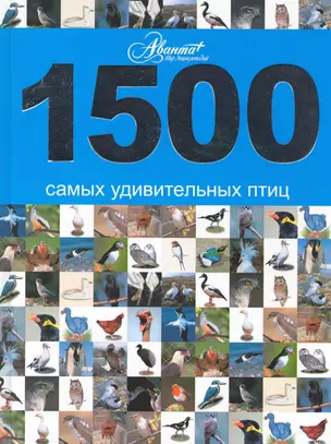 1500 самых удивительных птиц — 2231255 — 1