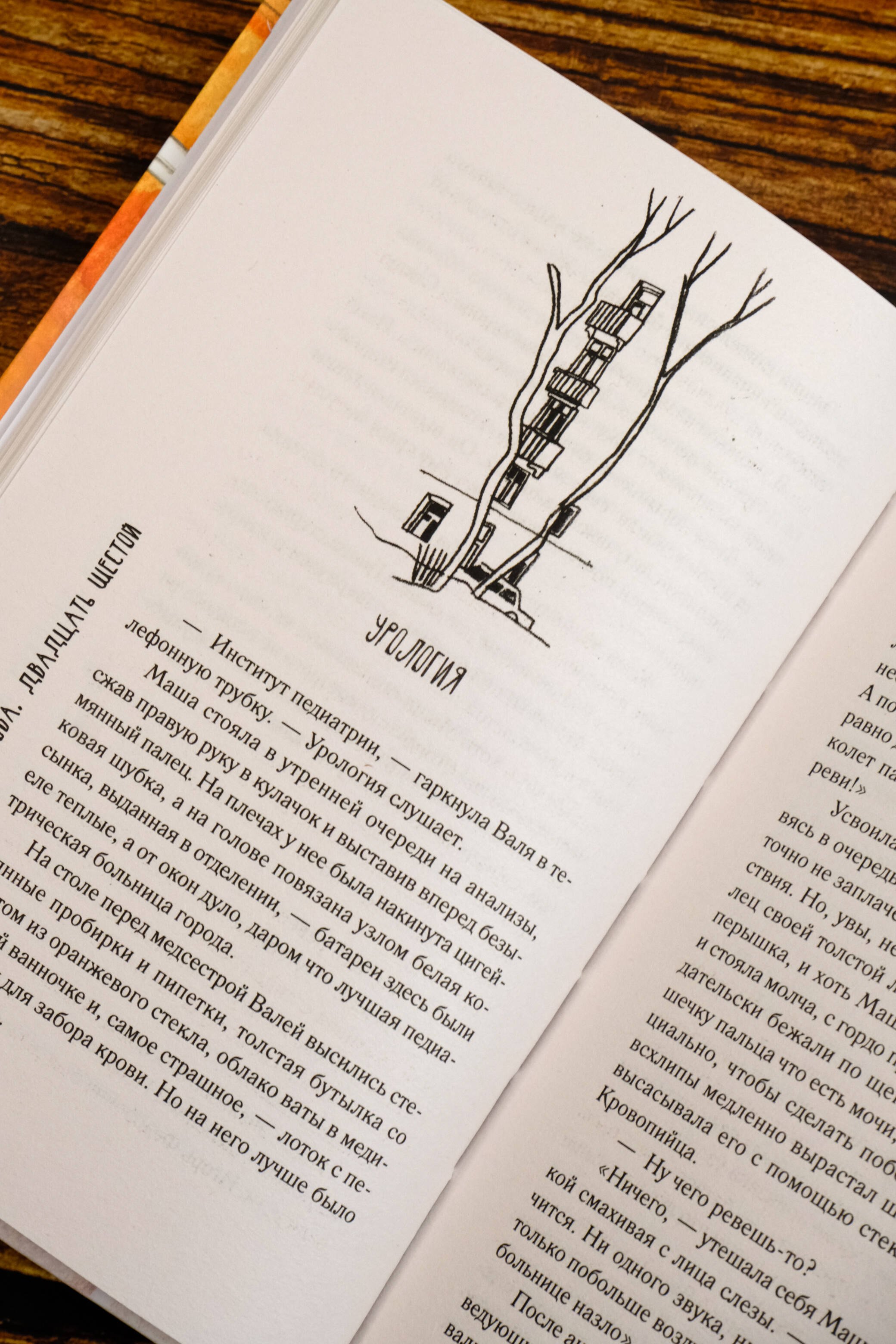 Изображение бумажной книги