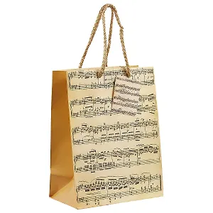 Подарочный пакет «Ноты», А5