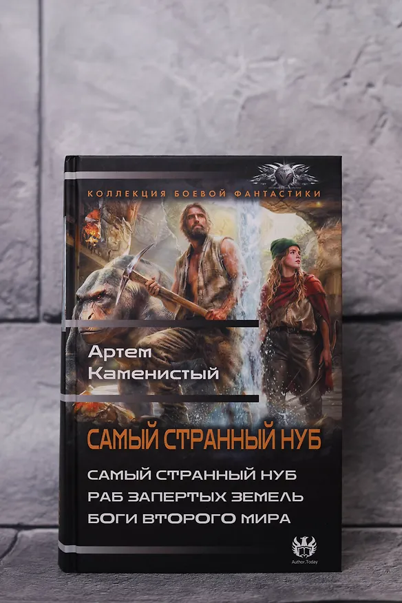 Книга Самый странный нуб (Артём Каменистый) — 7