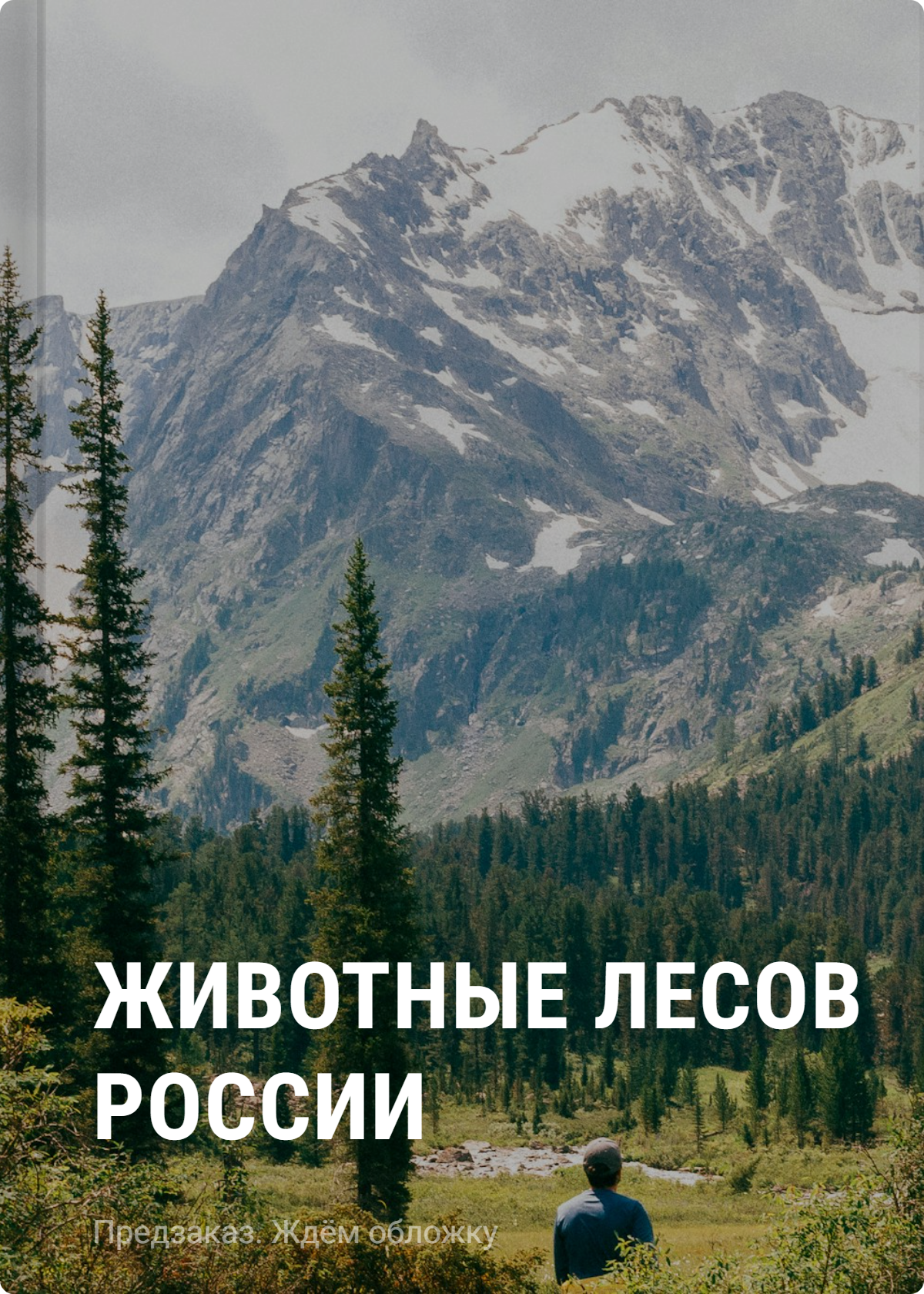 None Животные лесов России