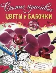 Цветы и бабочки — 2477438 — 1