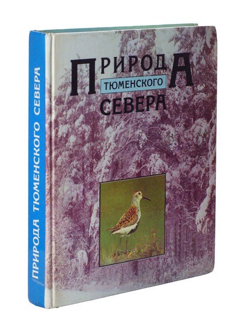 

ВНЕправильная девчонка. Школа on-line