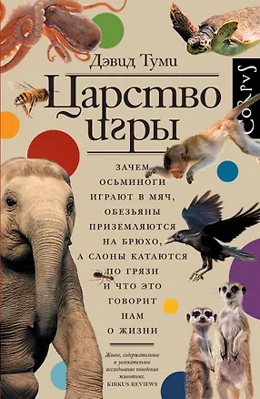 Книга Царство игры (Дэвид Туми)