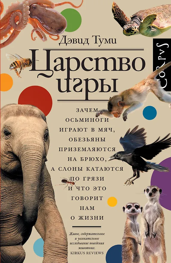 Книга Царство игры (Дэвид Туми) — 1