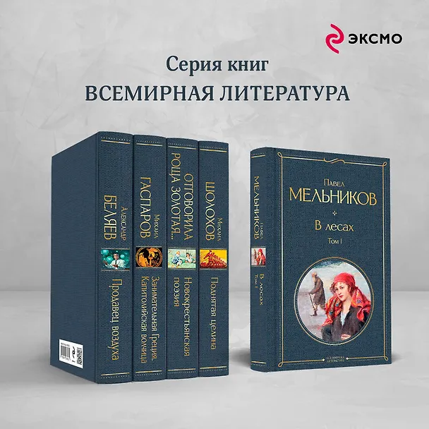 Книга В лесах. Том I (Павел Мельников) — 8