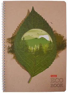 Тетрадь в клетку Hatber, "Экобук", А4, 96 листов, в ассортименте