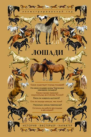 Книга Лошади. Иллюстрированный гид (Анна Спектор)