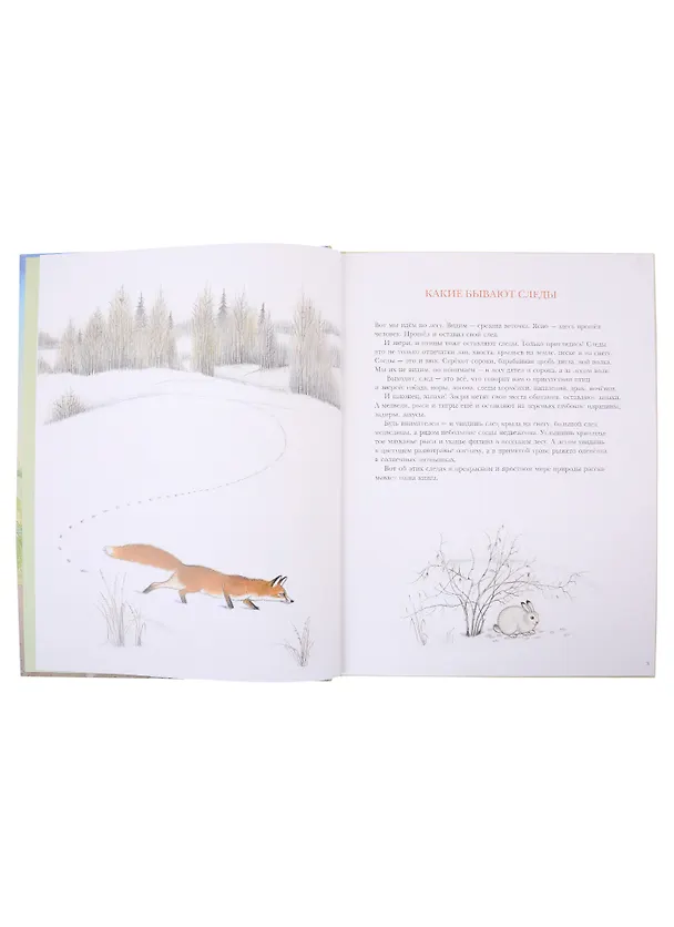 Книга Следы (Петр Багин) — 2