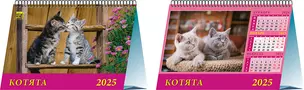 Календарь 2025г 200*140 "Котята" настольный, домик — 3053362 — 1