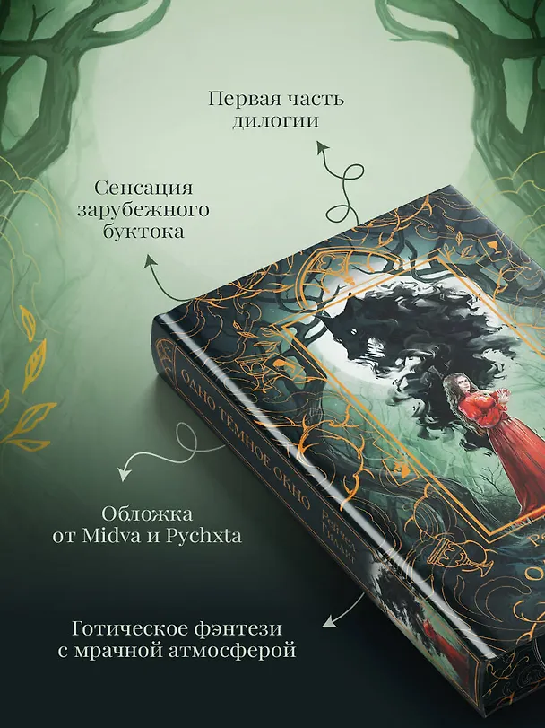 Книга Одно темное окно (Рейчел Гиллиг) — 8