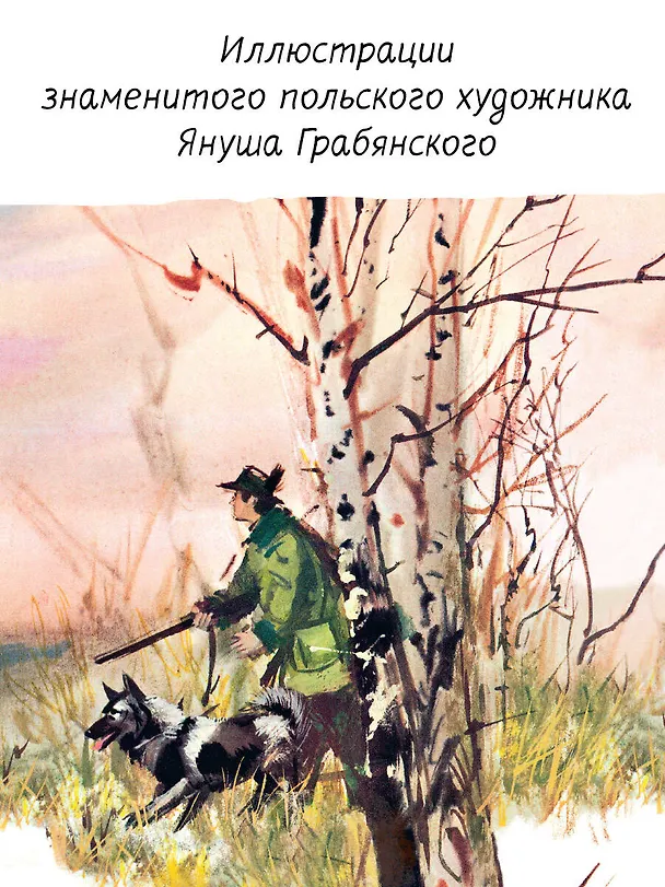 Книга Удивительные собачьи истории (Михаил Вирозуб) — 5
