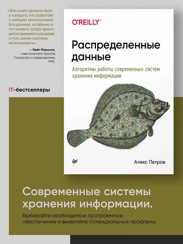 Книга Распределенные данные. Алгоритмы работы современных систем хранения информации (Алекс Петров, Аркадий Петров) — 3