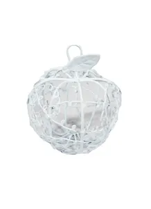 Декоративные элементы из металла Яблоко белое ажурное (11093601)