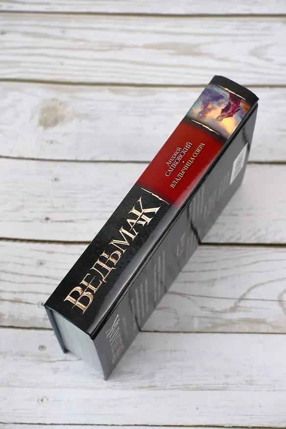 Книга Владычица Озера (Анджей Сапковский) — 11