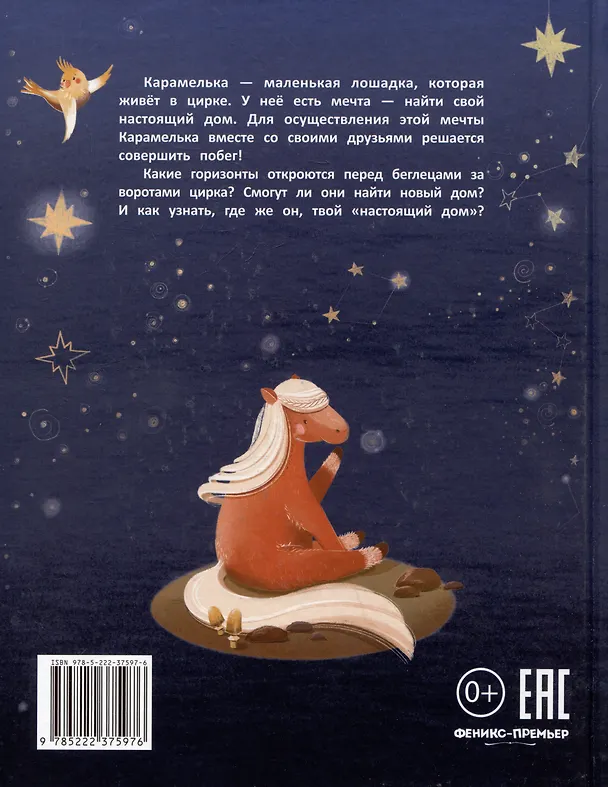 Книга Кругосветное ПОНИшествие (Анна Федулова) — 7