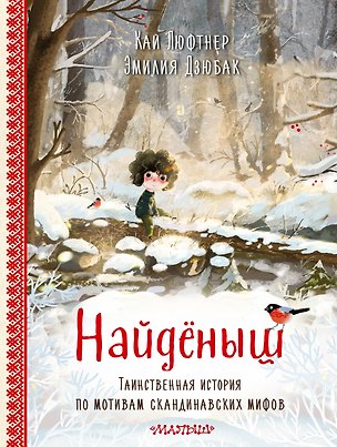 Книга Найденыш. Рис. Э. Дзюбак (Эмилия Дзюбак, Кай Люфтнер)