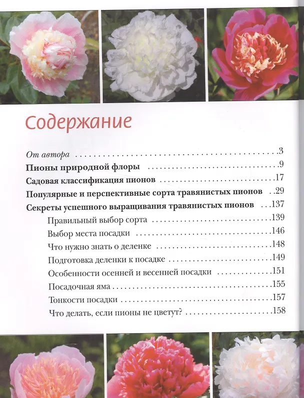 Книга Пионы () — 2