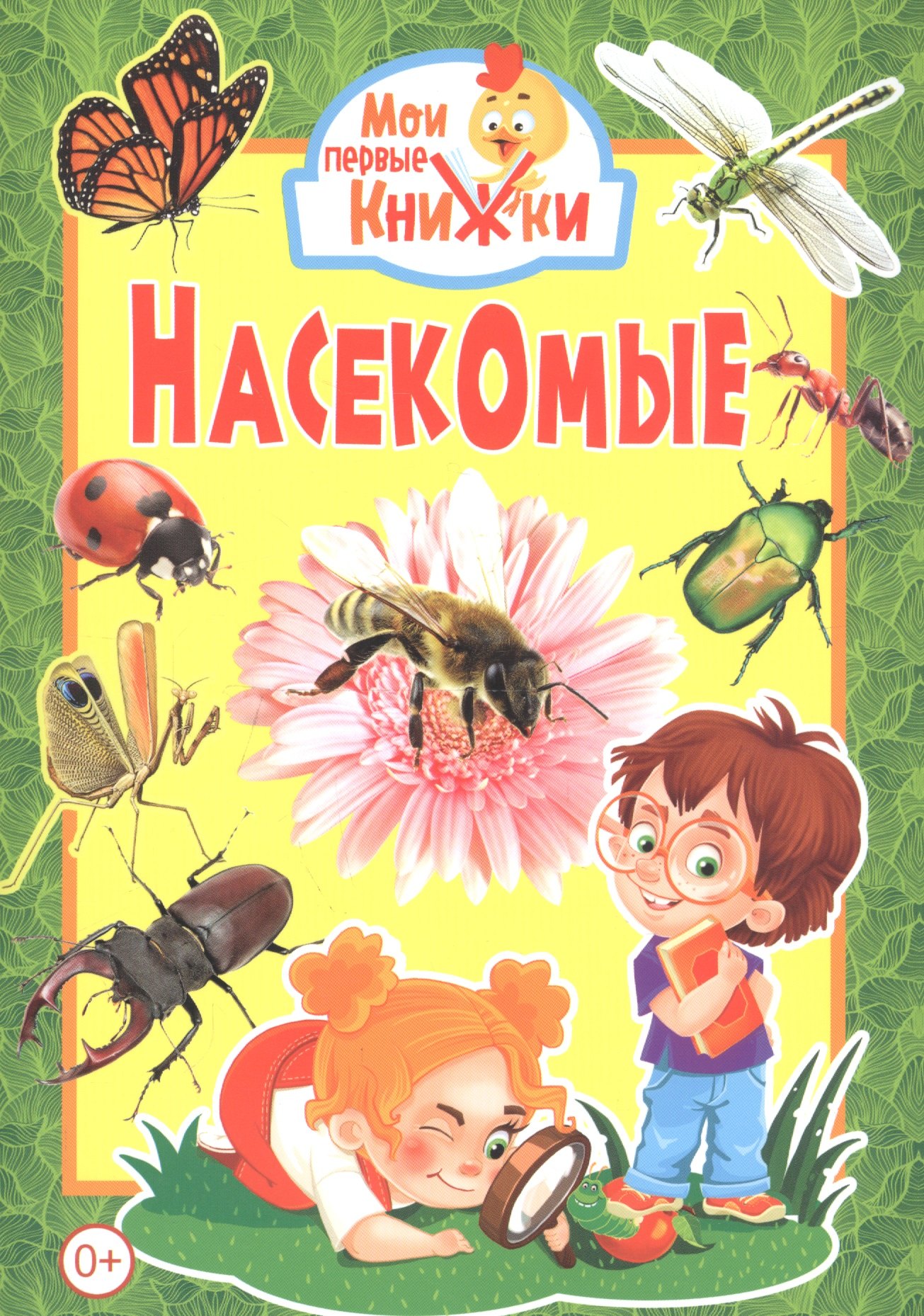 

Насекомые