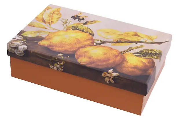 Коробка подарочная "ART. Гарцони Д. Натюрморт с лимонами" 20,5*13,5*6, Schiller 3114002 — 2