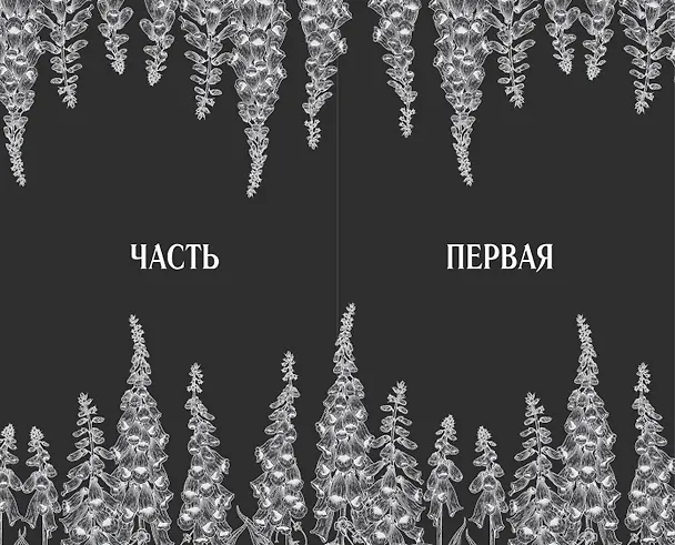Книга Наперстянка (#2) (Аделин Грейс) — 11