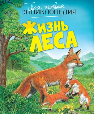 Жизнь леса — 2029307 — 1