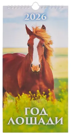 Календарь 2026г 165*335 "Год Лошади. Вид 2" настенный, на спирали 3108968
