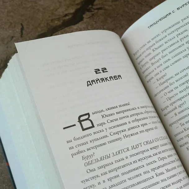 Книга Танцующая с бурей (Джей Кристофф) — 9