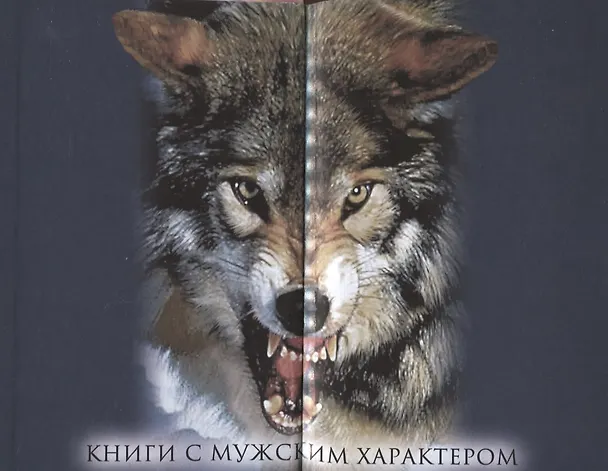 Книга Давыд Городецкий. Сын Довмонта (Тимофей Рахманин) — 3
