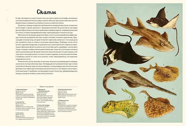 Книга Океанариум (Лавдэй Триник) — 14