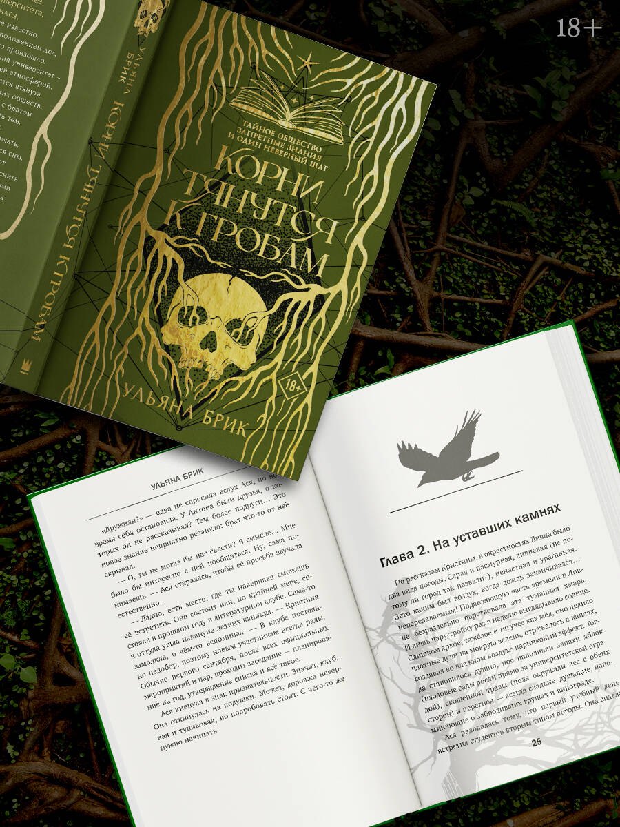 Изображение бумажной книги