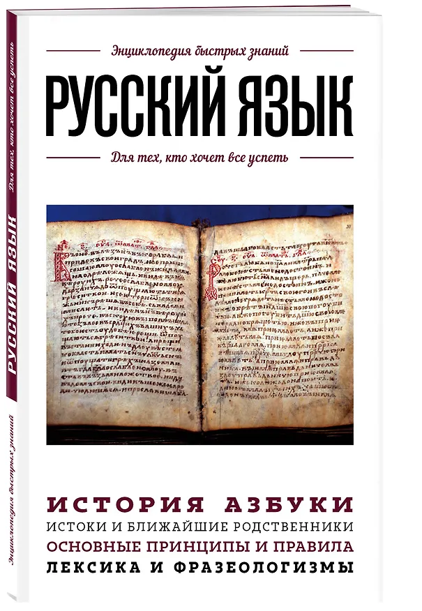 Книга Русский язык. Для тех, кто хочет все успеть (Вероника Ганчурина) — 4